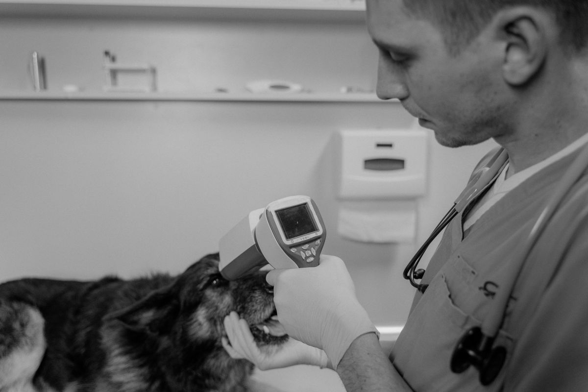 So sánh 3 gói PAC Pet Care